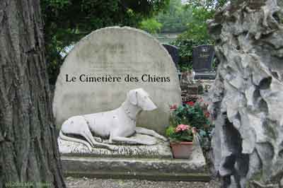 充满温情的法国狗墓地