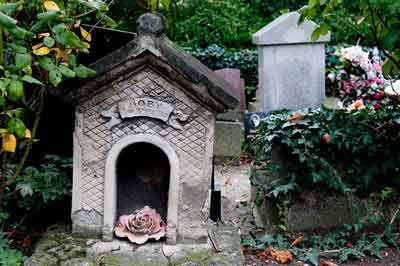 充满温情的法国狗墓地