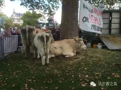 法国农民抗议现场11