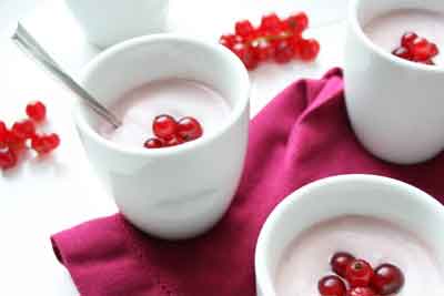 法国新鲜无皮奶酪