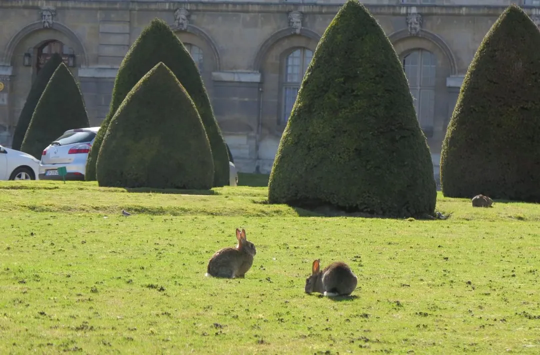 荣军院历史场景